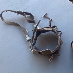 Climbing Belt