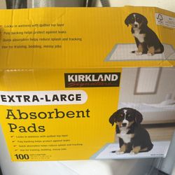 Training Absorbent Pads