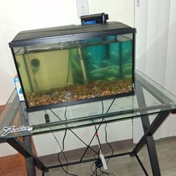 10 Gallon Tank New