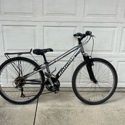 Raleigh Bicycle 