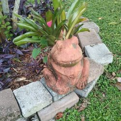 Landscape Design 