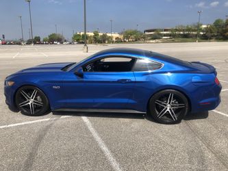 Mustang