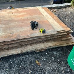 Plywood 1/2 Inch 5x4