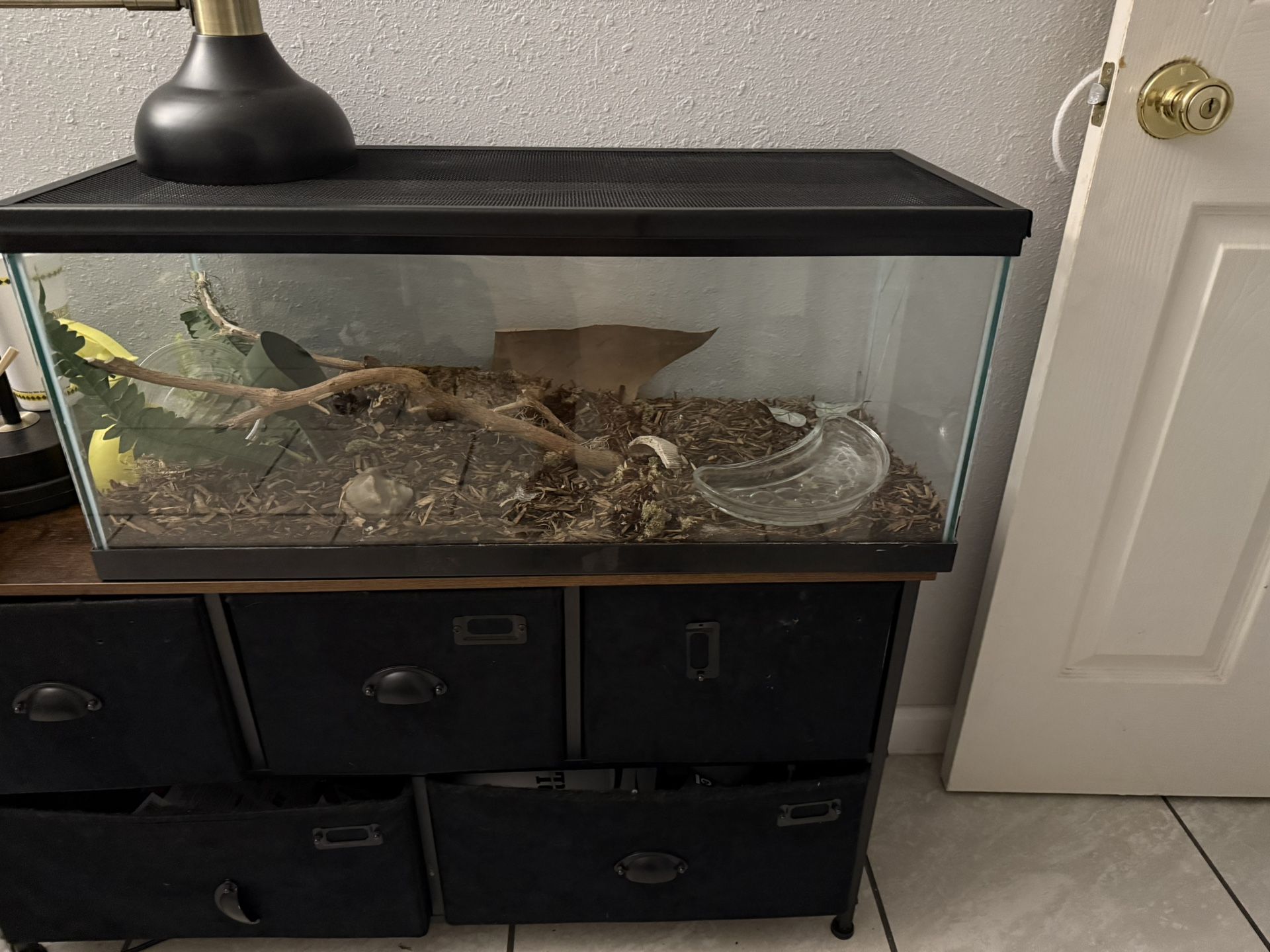 Fish Tank & Reptile Tank