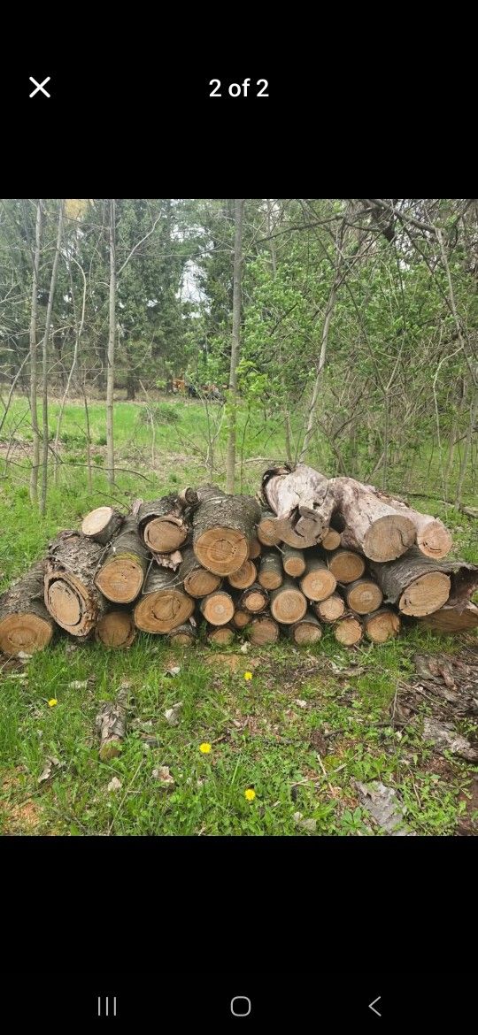 Apple And Cherry Wood
