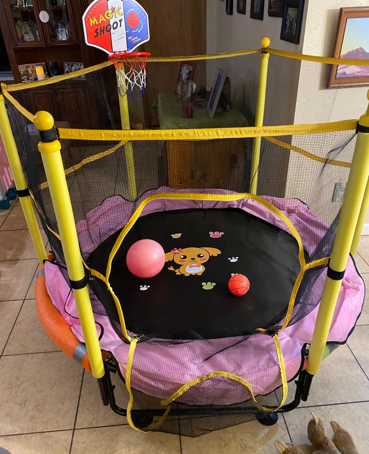 Children’s Trampoline 