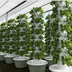 Hydroponic Growing system 50 Plants Brand New!