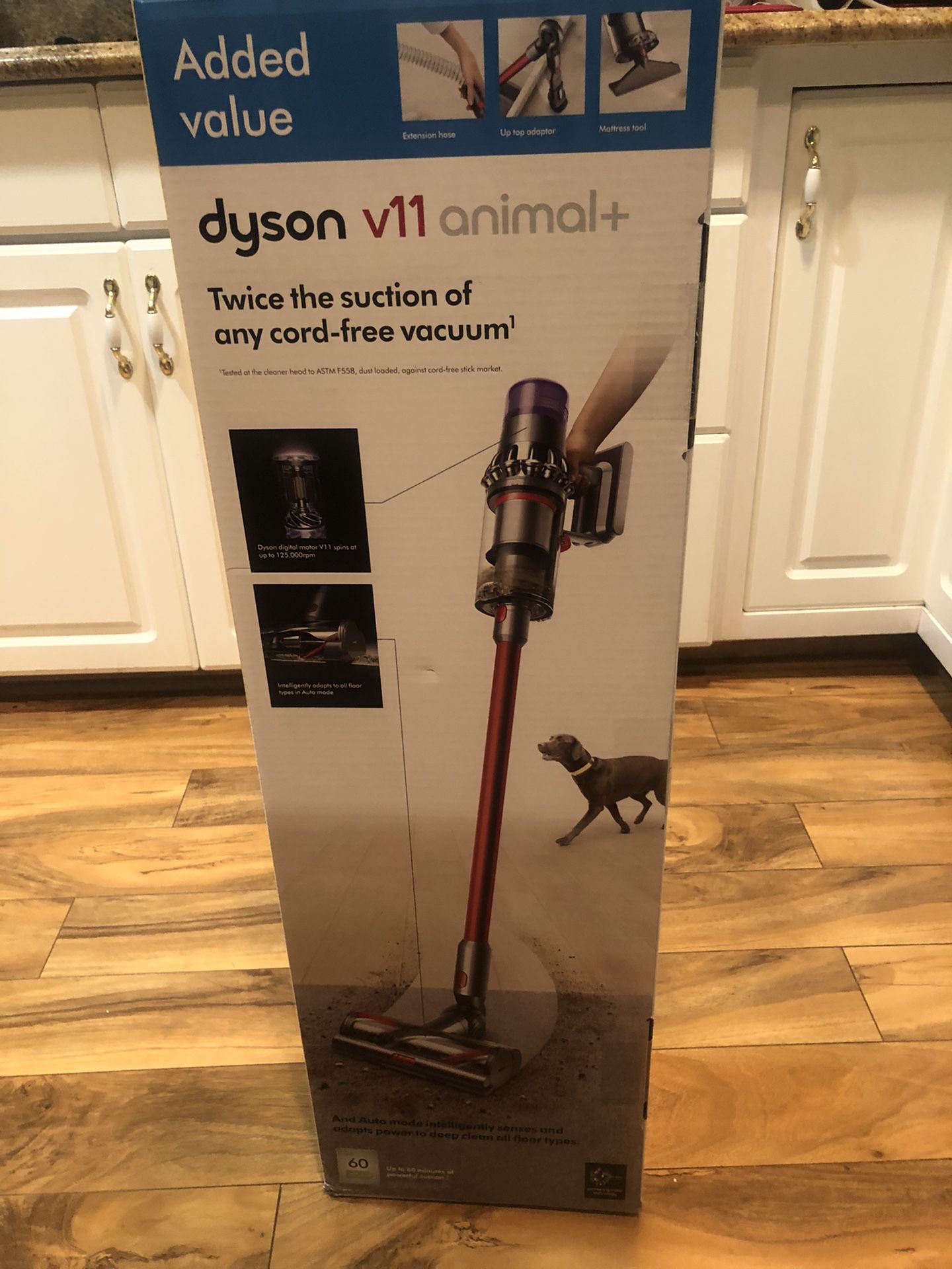 Dyson animal cordless vacuum