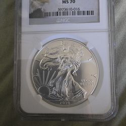 2014 Silver Eagle