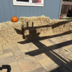 4 Bales Of hay!!  Free