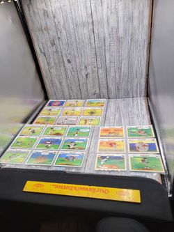 Looney Tunes- Lot of 48 Looney tunes Baseball Cards