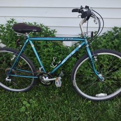 Fiji Tahoe 20 Inch Bike 