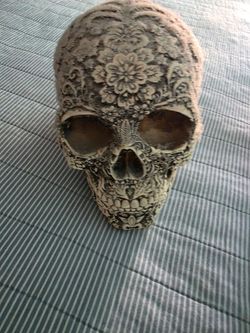 Skull