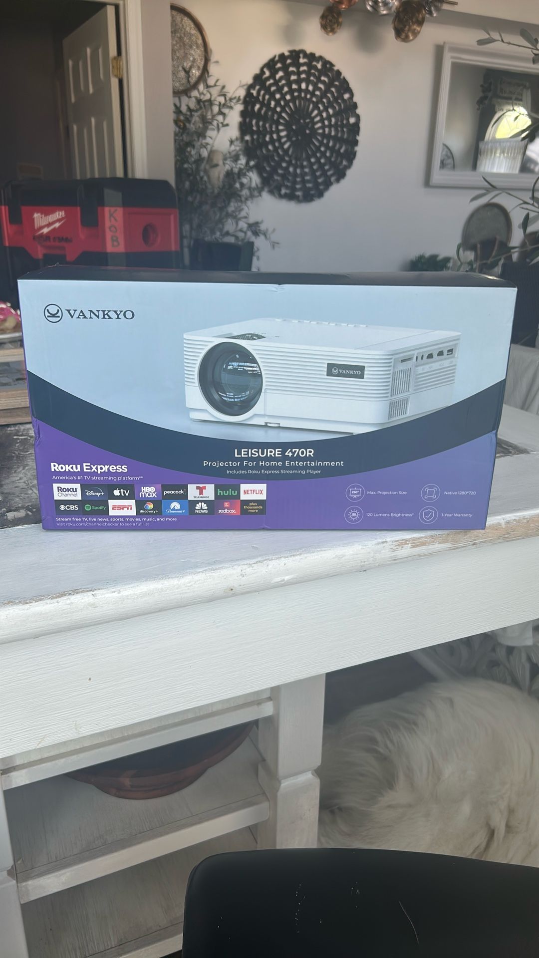 Vankyo Roku Projector