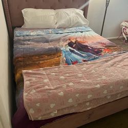 Queen Pink Velvet Bed