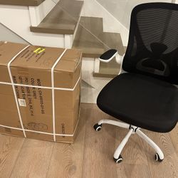 $50 For Two New High Quality Desk Chairs! One Gaming, One Ergo - No Smoking No Pets 