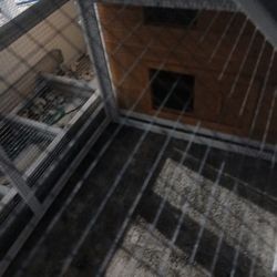 Chickens Coop 