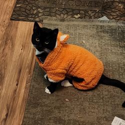 In Need Of A Working Refrigerator 