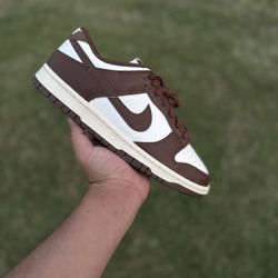 Nike Dunks