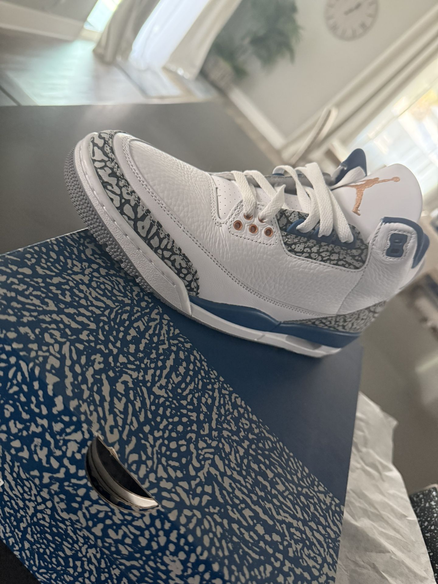 Air Jordan 3 Retro