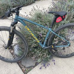 Specialized Mountain Bike 