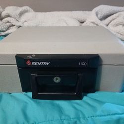Sentry 1100 Fire Proof Briefcase Safe 