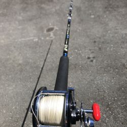 Fishing Pole And Reel 