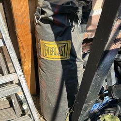 Everlast Punching Bag 
