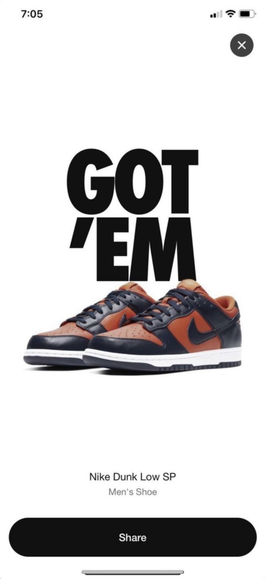 Nike Dunk Low SP Champ Colors