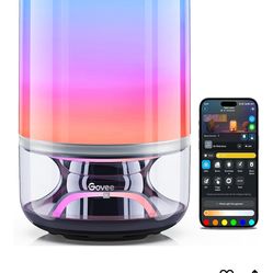 Govee lamp and speaker