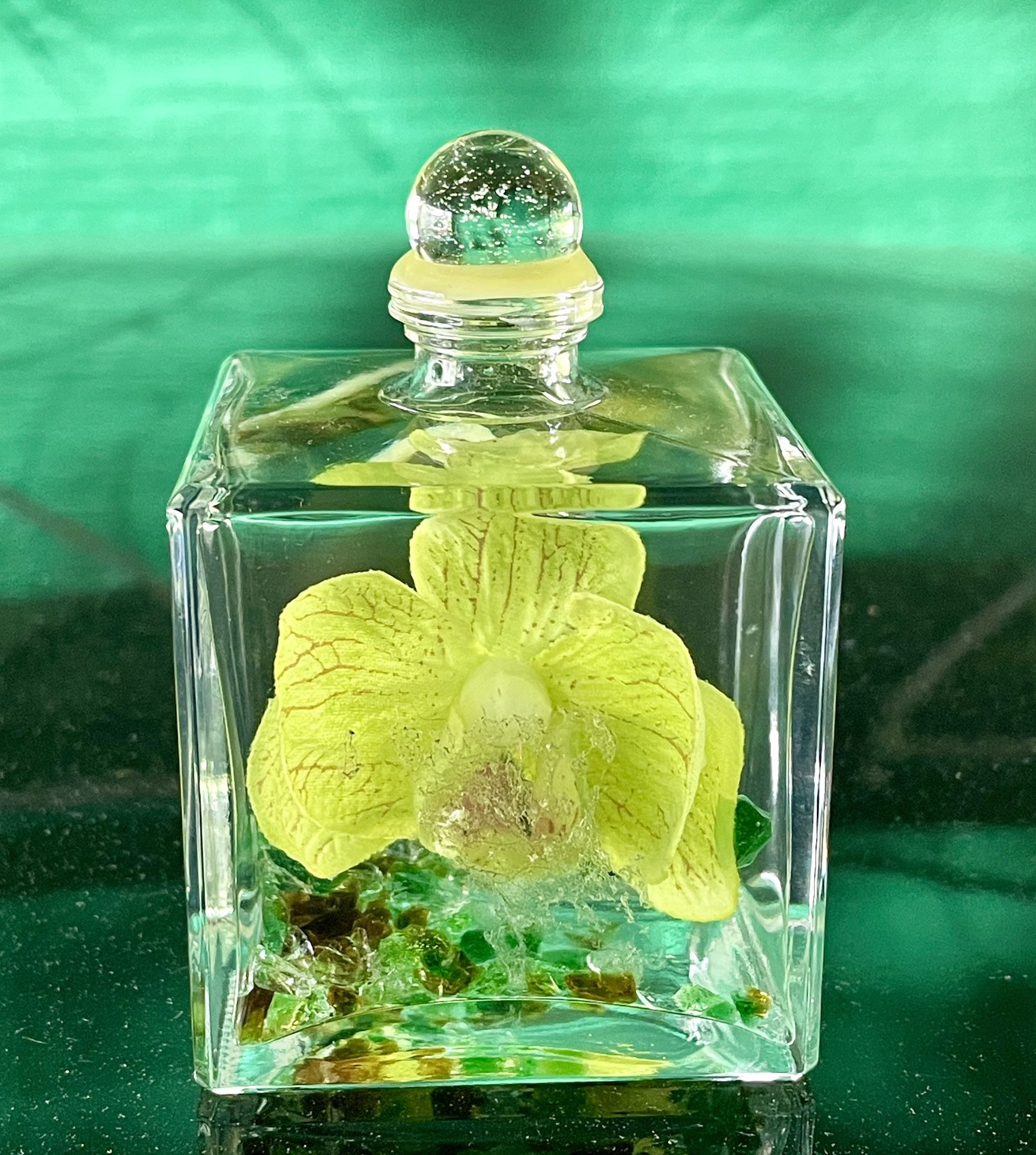 Glass Cube Vile, Sealed With Floating Orchid