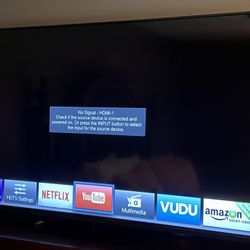60in Flat Screen TV 