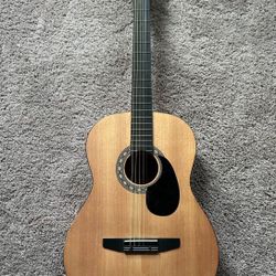 Acoustic Guitar 