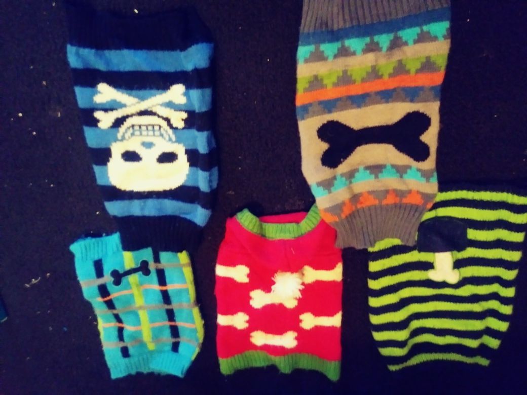 Small dog clothes