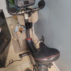Schwinn 170