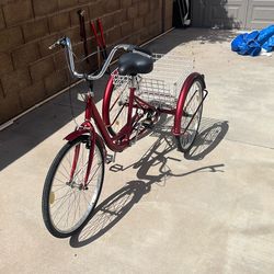 Adult Tricycle