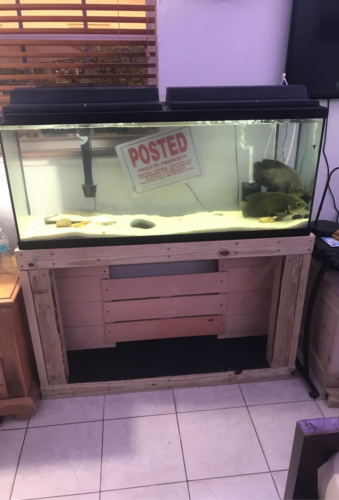 55 gallon fish tank with custom stand
