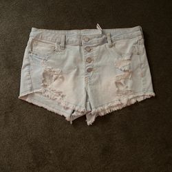 New W/ Tags Shorts  Size 13