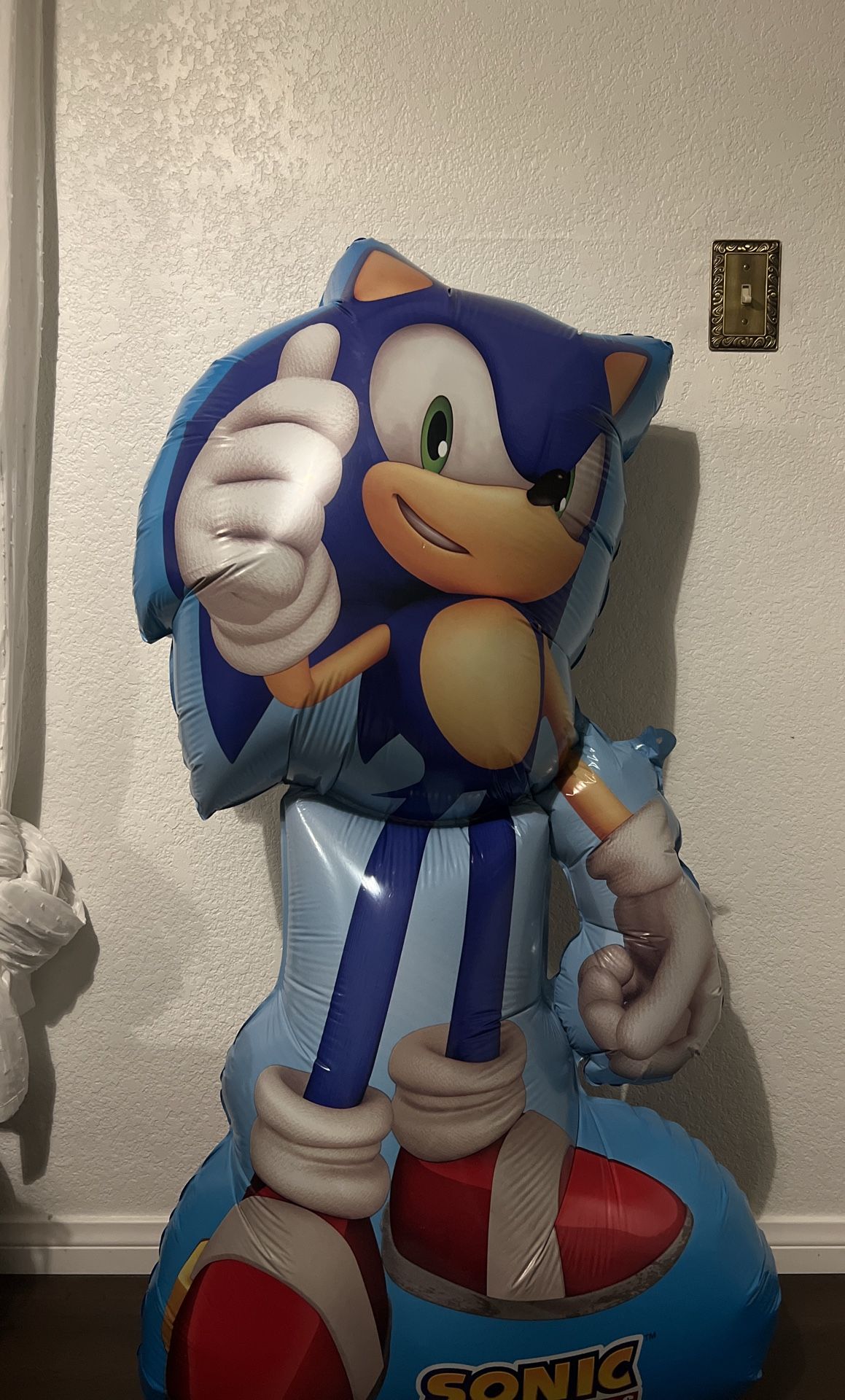 Sonic The Hedge Hog Balloon