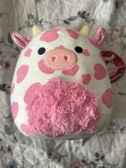 Evangelica Squishmallow