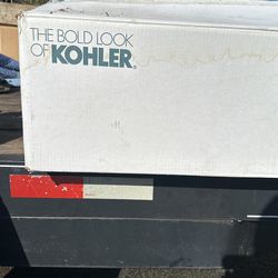 Black Kohler Sink