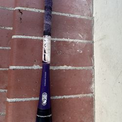 Bat 