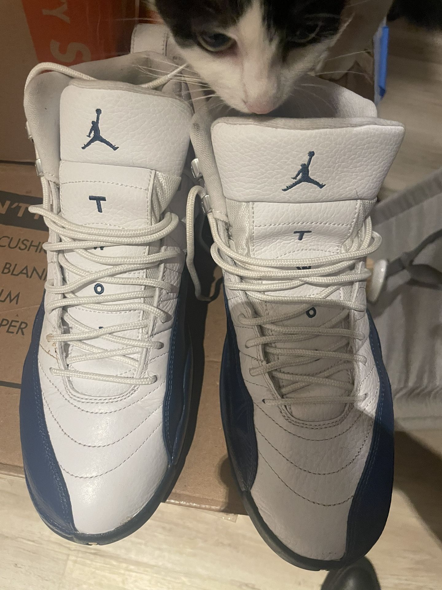 Jordan 12