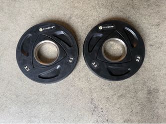 Pair 2.5 weight plates