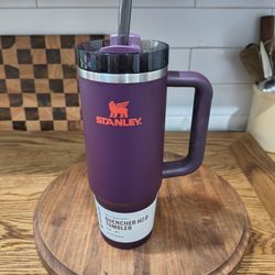 Stanley Tumbler 30 Oz Plum Color