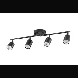 Ceiling Lights 