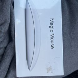 Apple- magic mouse