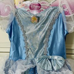 Cinderella Dress  New 