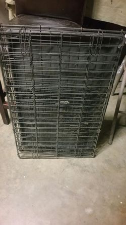 Dog Kennel