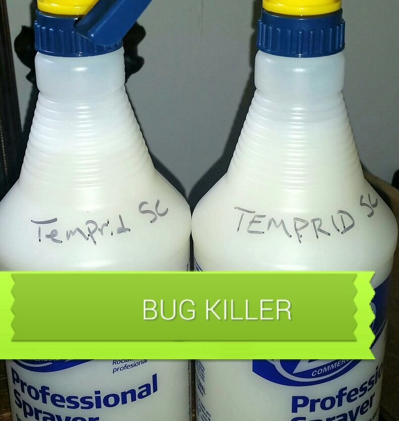 Temprid SC bedbug, insect, flea, and roach spray